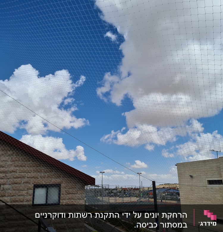 רשת למניעת כניסת יונים על רקע שמיים